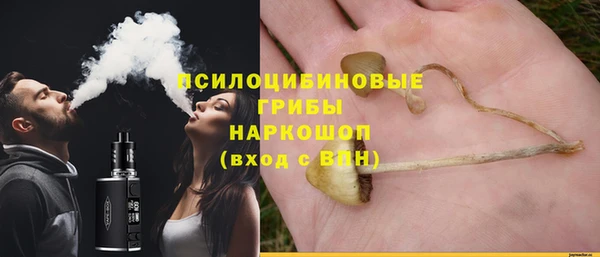 спиды Арсеньев