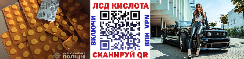 где продают наркотики  Кологрив  LSD-25 экстази ecstasy 